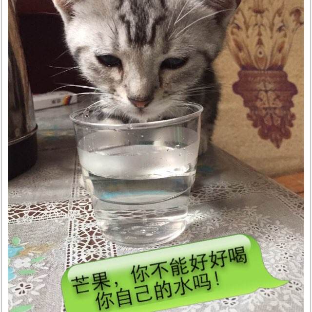 学位与学历证书的区别